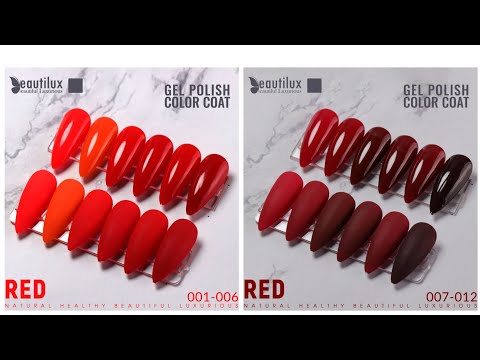 Kit de 6 VSP Beautilux collection B 001 à 120