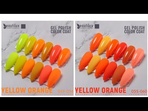 Kit de 6 VSP Beautilux collection B 001 à 120